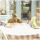 43 (352x288, 20 k�...)