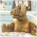 44 (352x288, 19 k�...)