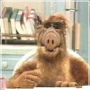 ALF006 (240x210, 10 k�...)