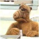 ALF007 (240x210, 9 k�...)