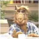 ALF008 (240x210, 10 k�...)