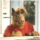 ALF012 (240x210, 9 k�...)