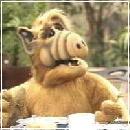 ALF013 (240x210, 11 k�...)