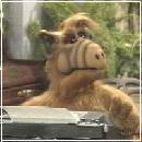 ALF014 (240x210, 10 k�...)