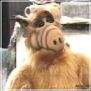 ALF017 (240x210, 10 k�...)