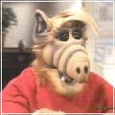 ALF018 (240x210, 9 k�...)