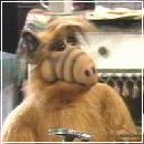 ALF019 (240x210, 10 k�...)