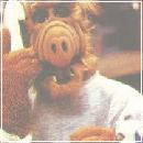 ALF02 (189x333, 11 k�...)