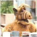 ALF020 (240x210, 10 k�...)