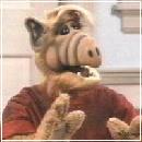 ALF025 (240x210, 8 k�...)