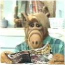 ALF027 (240x210, 11 k�...)