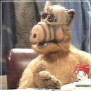 ALF029 (240x210, 10 k�...)