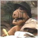 ALF030 (240x210, 9 k�...)