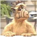 ALF031 (240x210, 10 k�...)