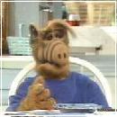 ALF034 (240x210, 10 k�...)