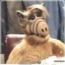 ALF035 (240x210, 10 k�...)