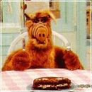 ALF10 (348x285, 23 k�...)