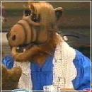 ALFBARR1 (380x220, 15 k�...)