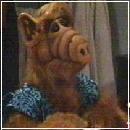 ALFPIZZ3 (380x220, 14 k�...)