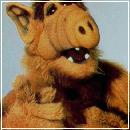 ALFQ (374x508, 31 k�...)