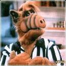 ARBITRO (581x466, 47 k�...)