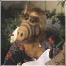 Alf002 (240x210, 9 k�...)