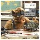 Alf004 (240x210, 11 k�...)