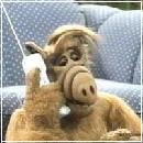 Alf005 (240x210, 12 k�...)