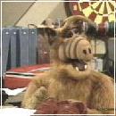 Alf009 (240x210, 11 k�...)