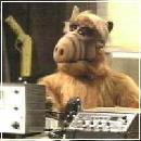 Alf011 (240x210, 9 k�...)