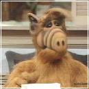 Alf026 (240x210, 8 k�...)