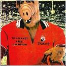 BOWL (268x418, 35 k�...)