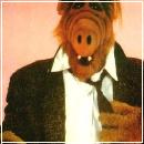 COOL (274x432, 20 k�...)