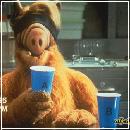 TASTE (640x465, 37 k�...)