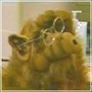 a (400x254, 11 k�...)