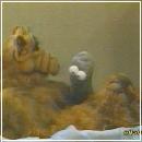 b (400x300, 13 k�...)