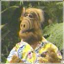 c (400x300, 20 k�...)