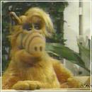 e (400x300, 17 k�...)