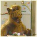 f (400x300, 15 k�...)