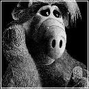 face (270x384, 23 k�...)