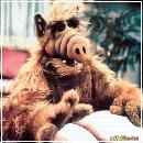 hairy (753x795, 85 k�...)