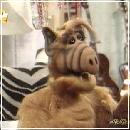 n07 (400x327, 21 k�...)