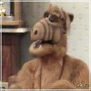 n08 (400x327, 16 k�...)