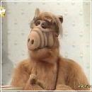 n09 (400x327, 16 k�...)