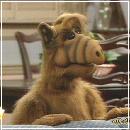 newest1 (800x600, 49 k�...)