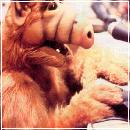 piano (582x800, 64 k�...)