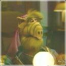 pris15 (360x270, 12 k�...)