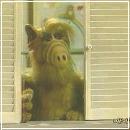 pris34 (360x270, 14 k�...)