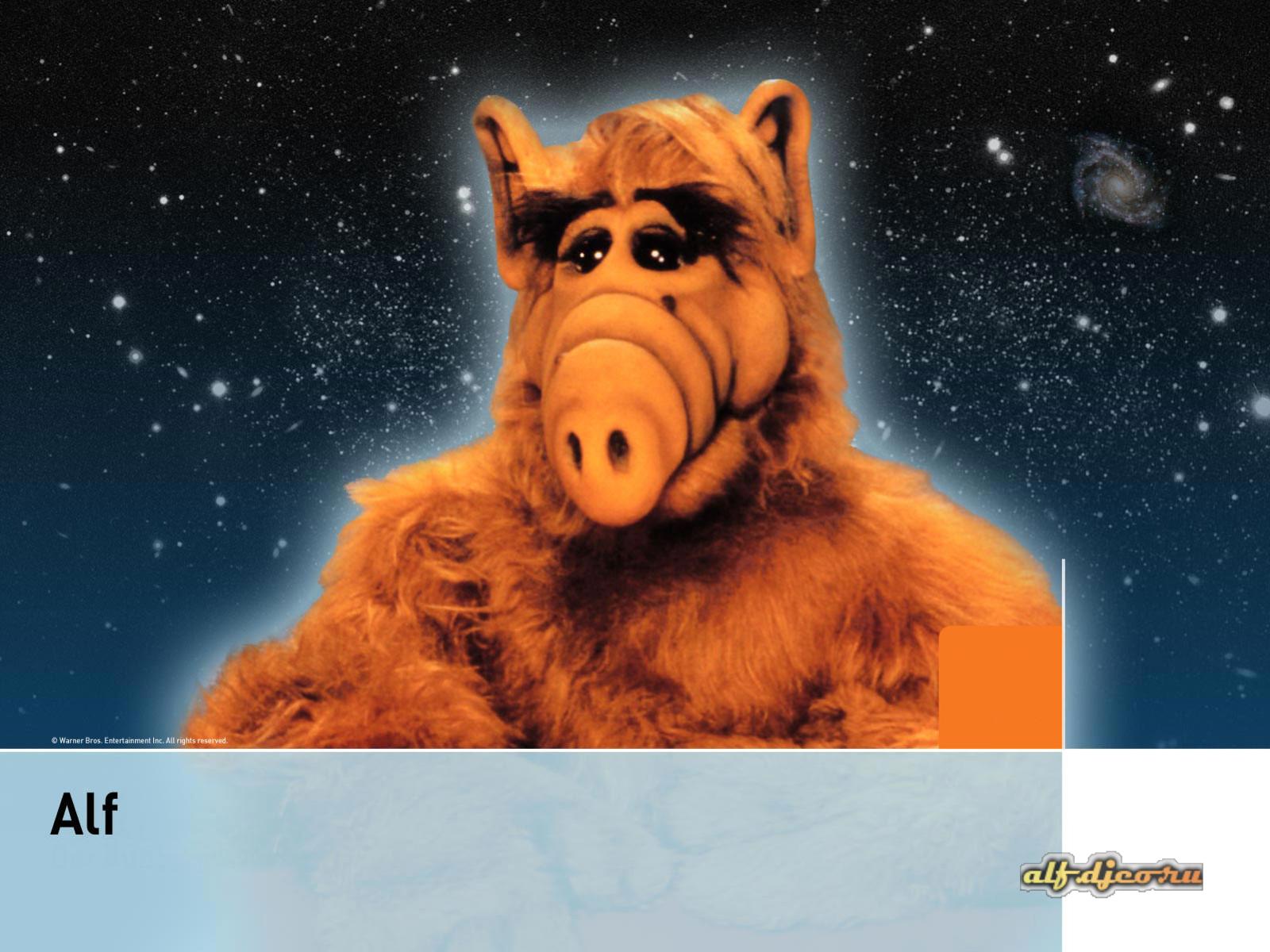 desktop_alf_1600_1200_Warner_Bros (1600x1200, 187 k )
