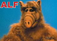 3 (1024x768, 95 k�...)